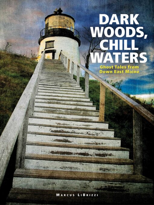 Cover image for Dark Woods, Chill Waters